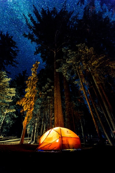 夜间在森林里露营